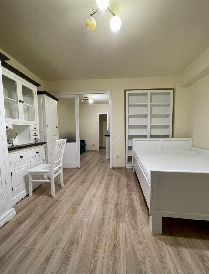 Cozy Central One Bedroom Cluj-Napoca Exterior foto